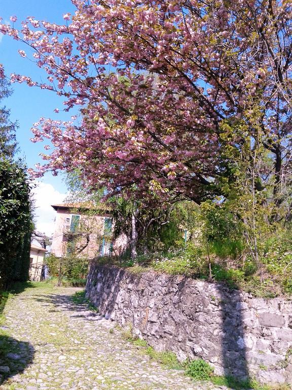 La Ca Del Menec Appartement Lierna Buitenkant foto