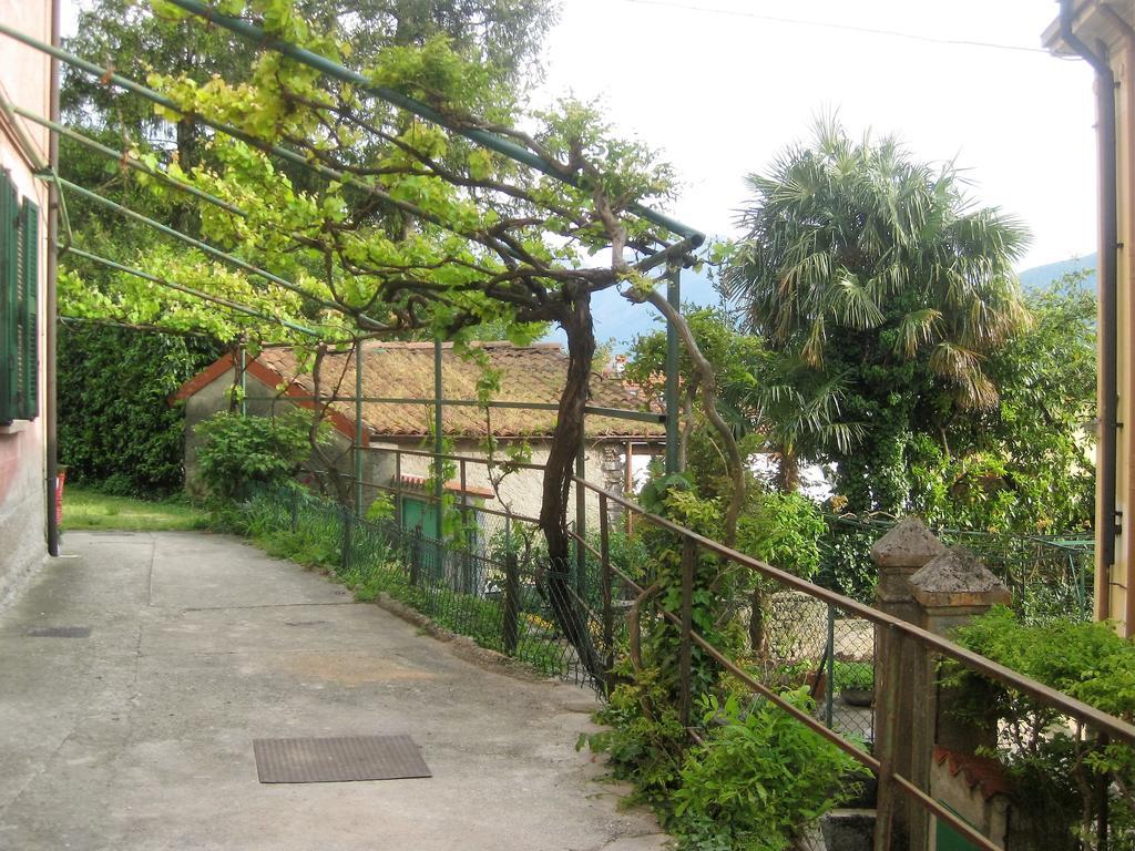 La Ca Del Menec Appartement Lierna Buitenkant foto